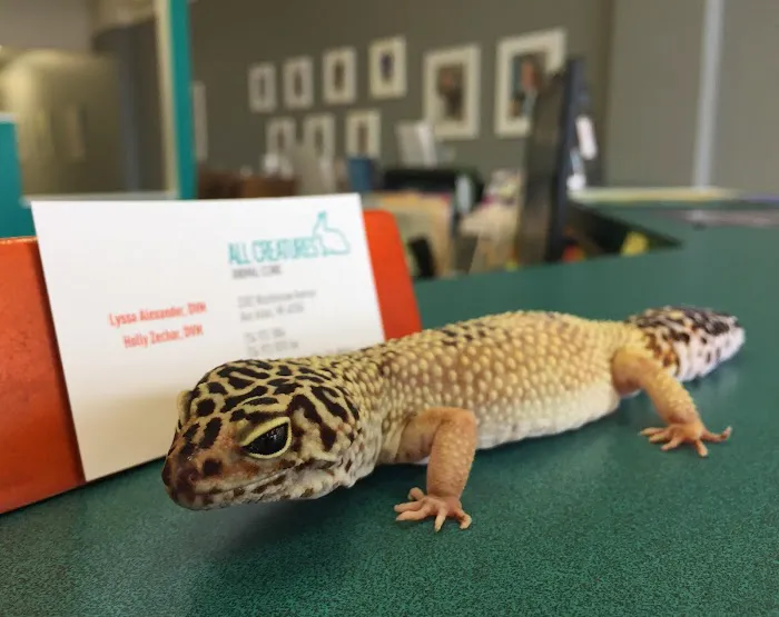 All Creatures Animal Clinic Picture 1