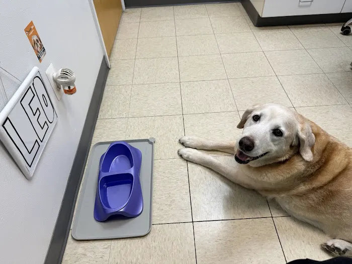 All Creatures Animal Clinic Picture 2
