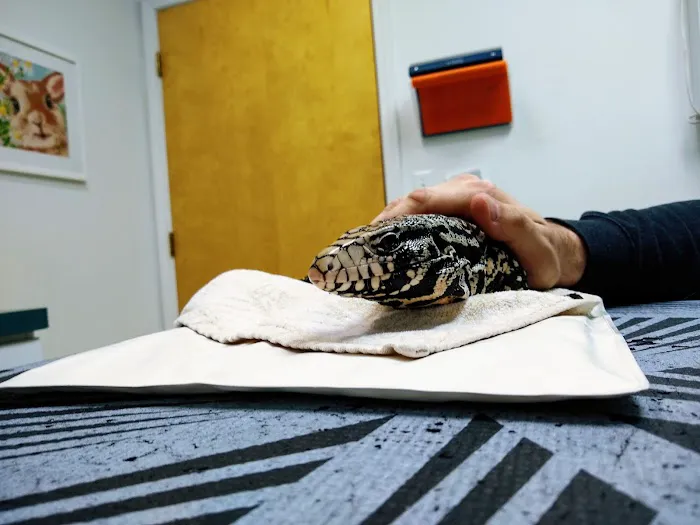 All Creatures Animal Clinic Picture 5