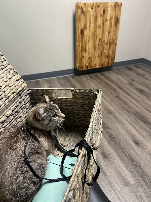 Easthaven Animal Hospital Picture 5