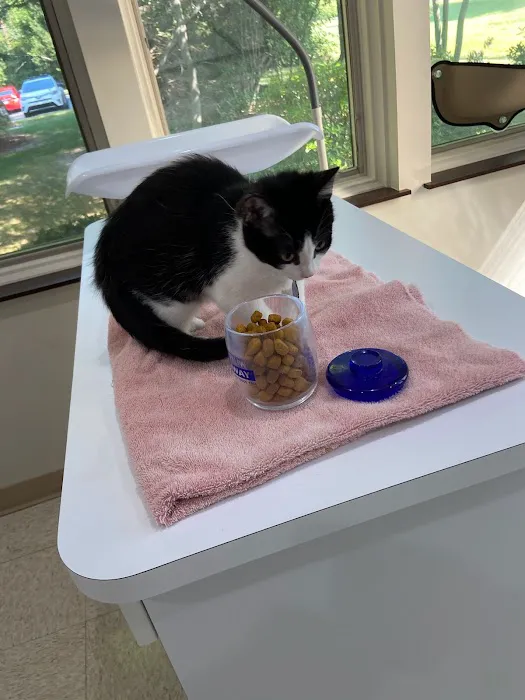 Washtenaw Veterinary Hospital Picture 3
