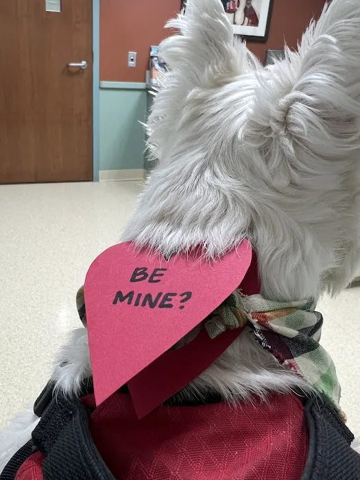 Washtenaw Veterinary Hospital Picture 6