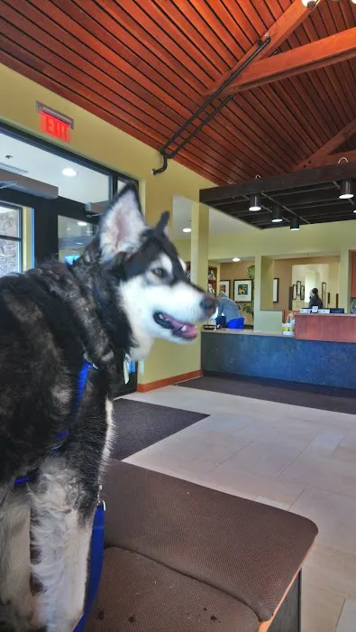 Washtenaw Veterinary Hospital Picture 9
