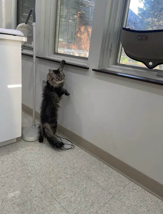 Washtenaw Veterinary Hospital Picture 5