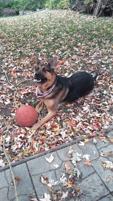 Washtenaw Veterinary Hospital Picture 4