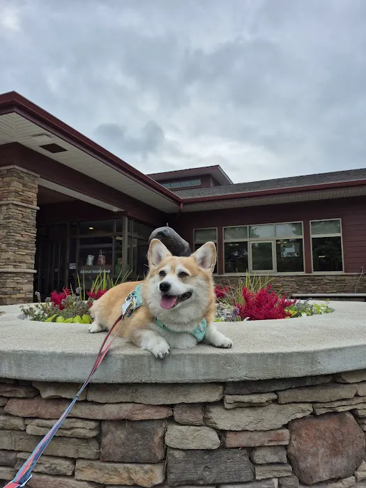Veterinary Clinic at the Humane Society of Huron Valley Picture 10