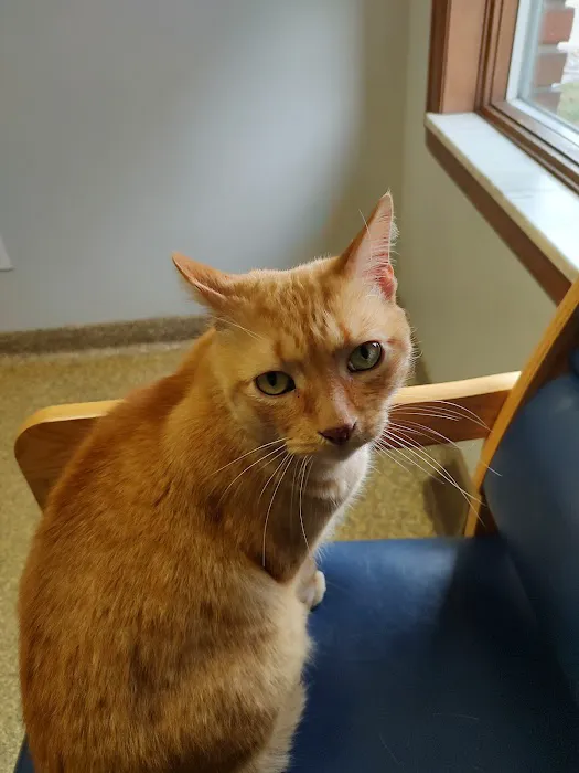 River Raisin Veterinary Clinic Picture 2