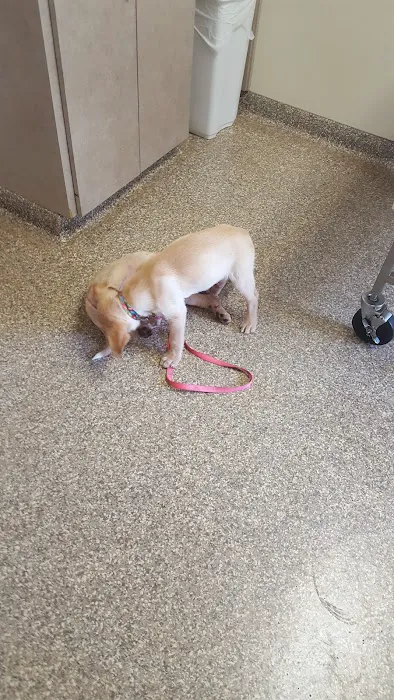 River Raisin Veterinary Clinic Picture 7