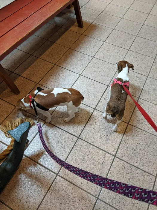 Griffith Veterinary Hospital Picture 9