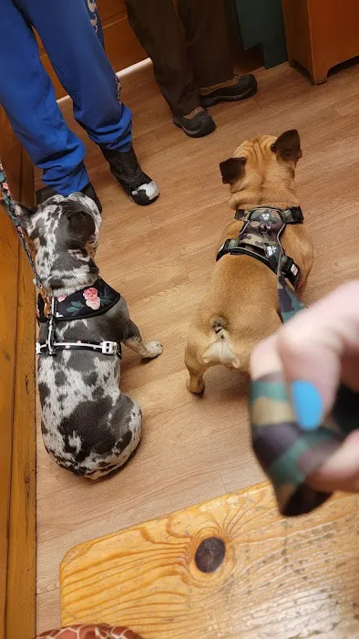 Griffith Veterinary Hospital Picture 8