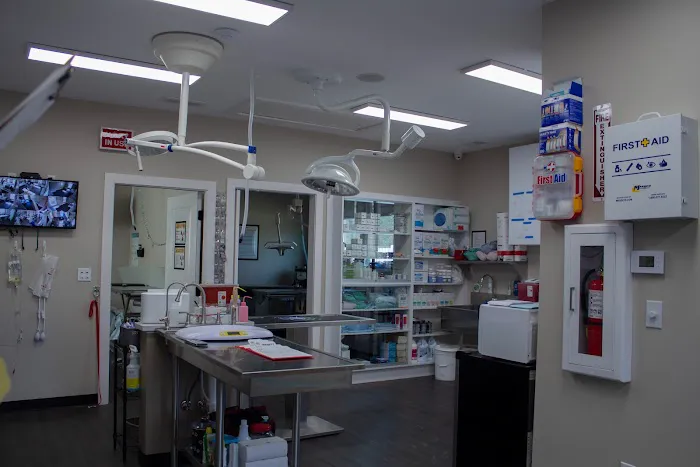Arbor Hills Animal Clinic Picture 2