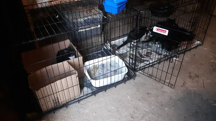 Brookeside Veterinary Hospital Picture 1