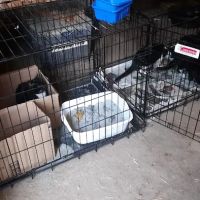 Brookeside Veterinary Hospital ico