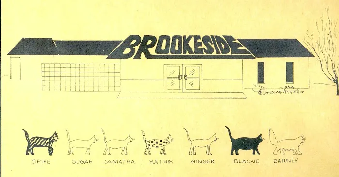 Brookeside Veterinary Hospital Picture 10