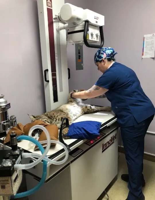 VCA Countryside Animal Hospital of Hamburg Picture 8