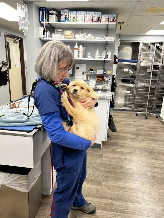 VCA Brighton Animal Hospital Picture 6