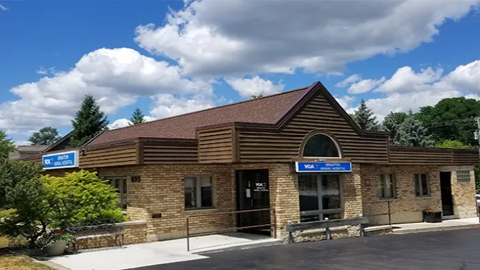 VCA Brighton Animal Hospital Picture 10