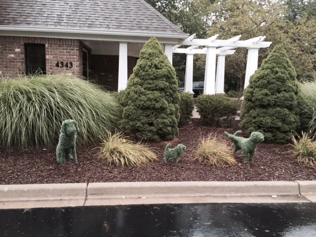 Towne & Country Animal Hospital Picture 7