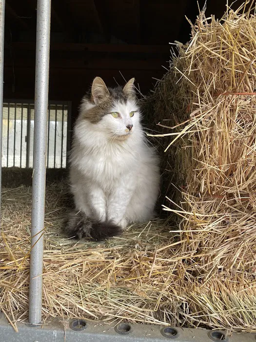Black River Veterinary Clinic Picture 7