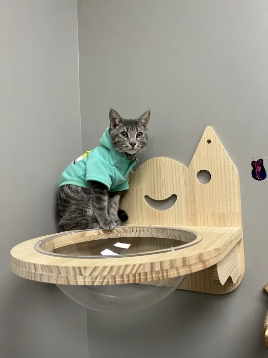 Black River Veterinary Clinic Picture 9