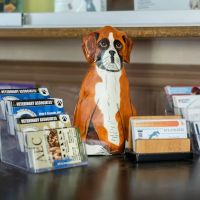 Veterinary Associates ico