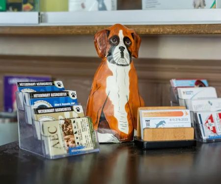 Veterinary Associates