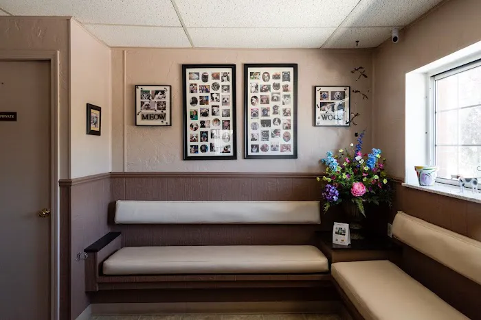 Veterinary Associates Picture 4