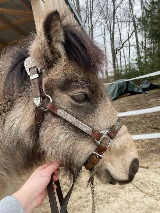 Blue Water Equine Hospital Picture 1