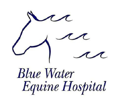 Blue Water Equine Hospital Picture 3