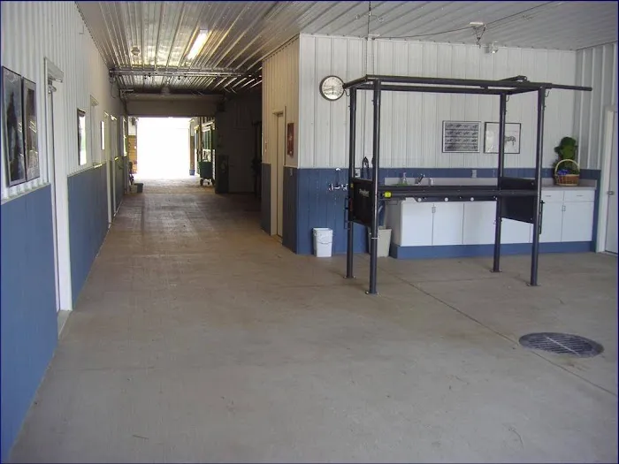 Blue Water Equine Hospital Picture 4