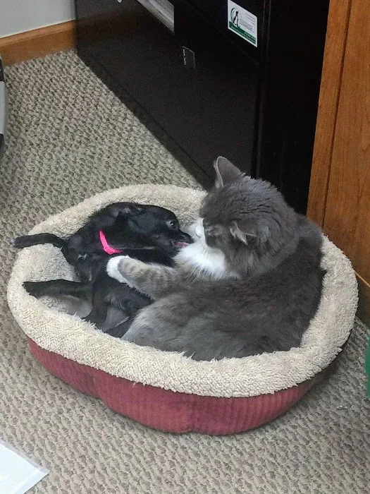 Ortonville Animal Hospital Picture 4