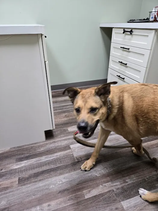 Ortonville Animal Hospital Picture 6
