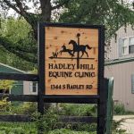 Hadley Hill Equine