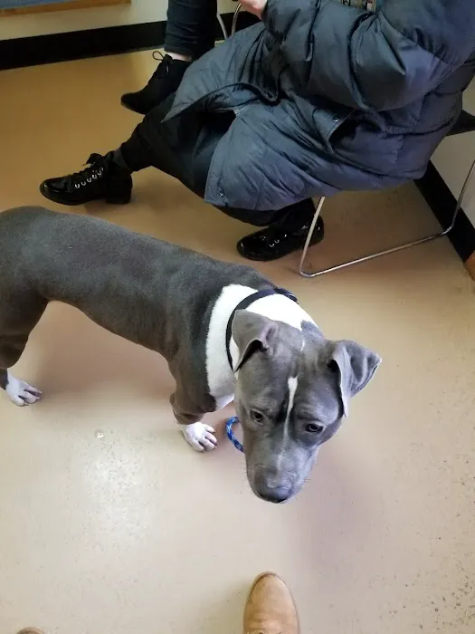 Baylis Animal Hospital Picture 9