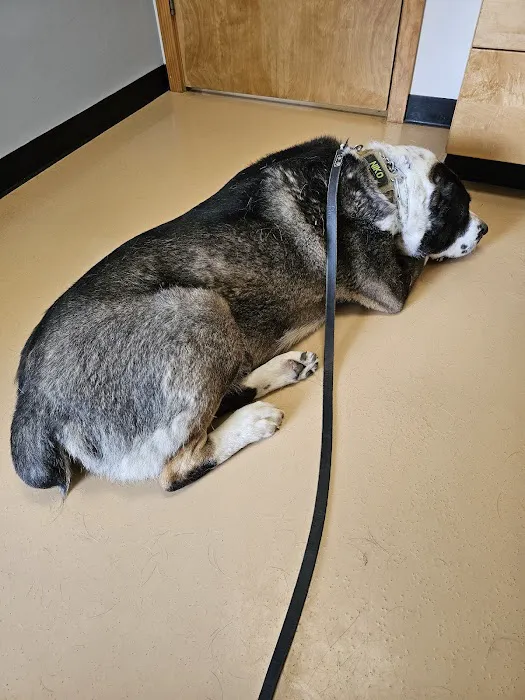 Baylis Animal Hospital Picture 8
