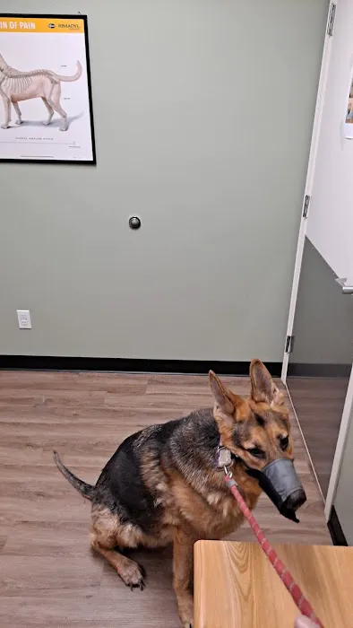 Roadside Veterinary Clinic Picture 2