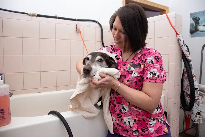 Roadside Veterinary Clinic Picture 5