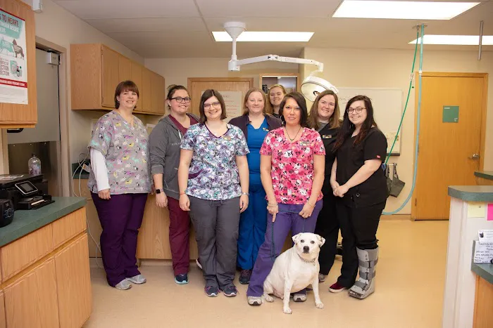 Roadside Veterinary Clinic Picture 10