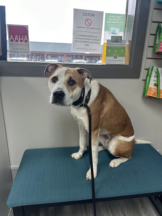 Highland Veterinary Hospital Picture 3