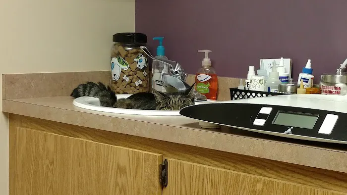 Highland Veterinary Hospital Picture 4