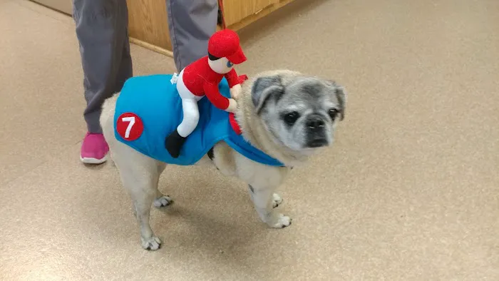 Highland Veterinary Hospital Picture 9