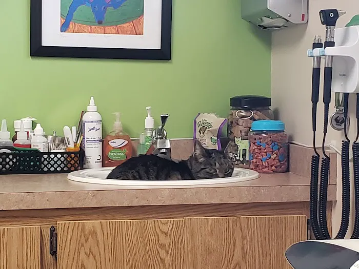 Highland Veterinary Hospital Picture 10