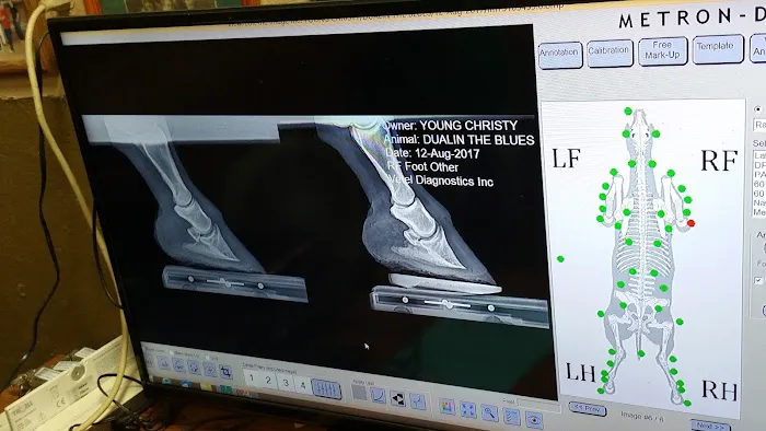 Equine Services LLC Picture 7