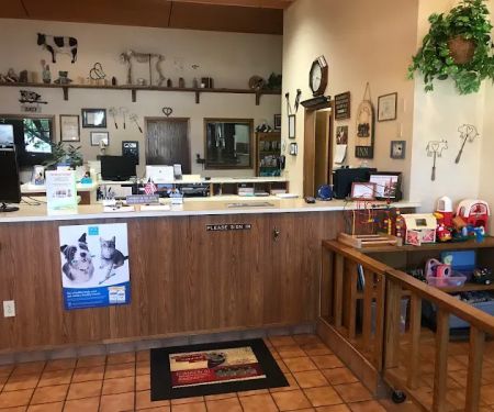 Cactus Pet Hospital LLC