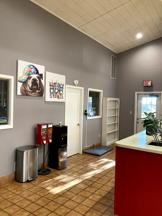 Cactus Pet Hospital LLC Picture 9