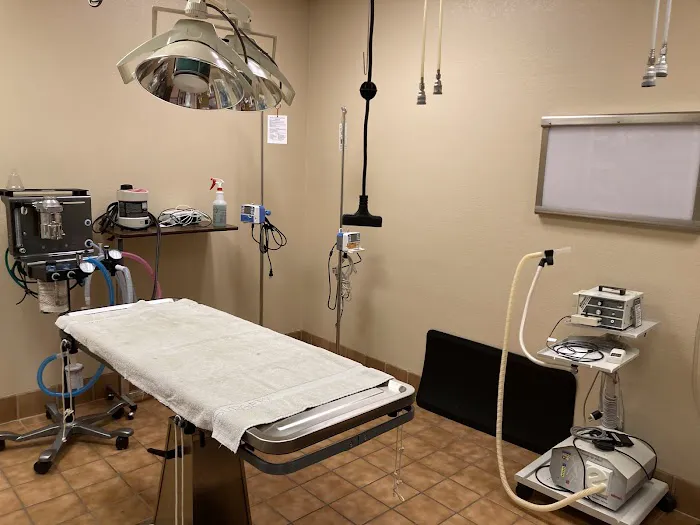 Cactus Pet Hospital LLC Picture 8