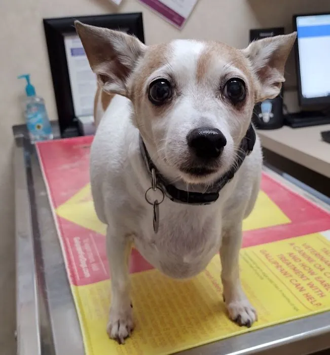 43rd Avenue Animal Hospital Picture 2