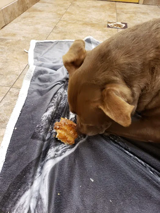 Lovet Pet Health Care - Roadrunner Picture 2