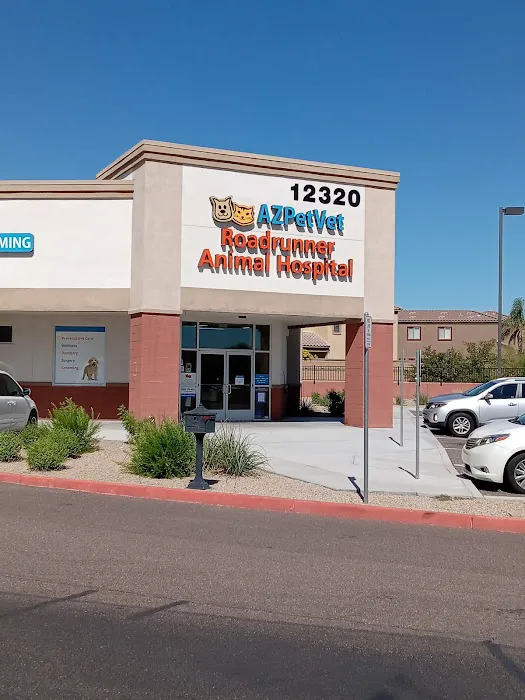 Lovet Pet Health Care - Roadrunner Picture 6