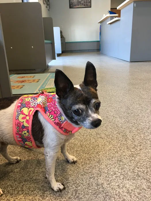 Sunburst Animal Hospital Picture 2